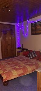 699310211:  en Alicante