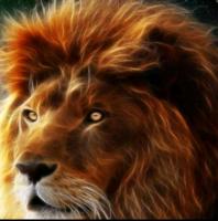 631863312: Chica busca chico en Barcelona