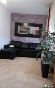 641484607:  en Toledo