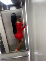 678669167: Transexual en Alicante