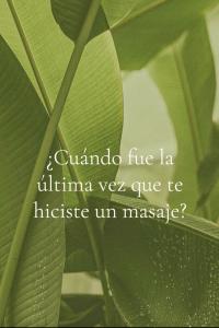 Chica busca chico en Ibiza: 