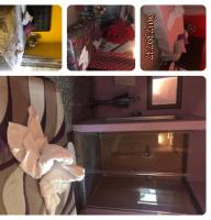 613322304:  en Valencia