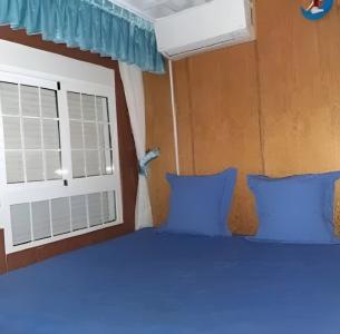 655811587: Transexual en Valencia