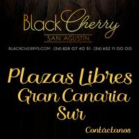 685084084:  en Las Palmas