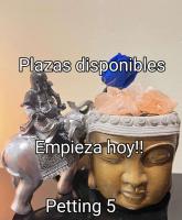 693519684:  en Valencia