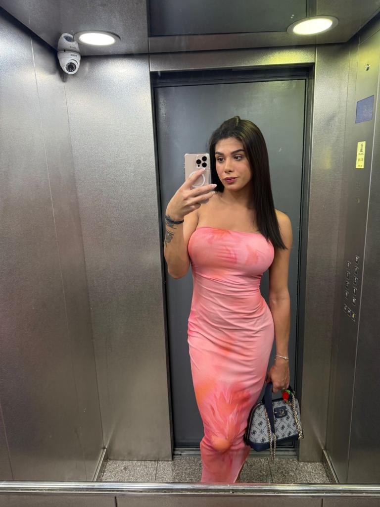 Transexual en Álava: Transexuales y Travestis