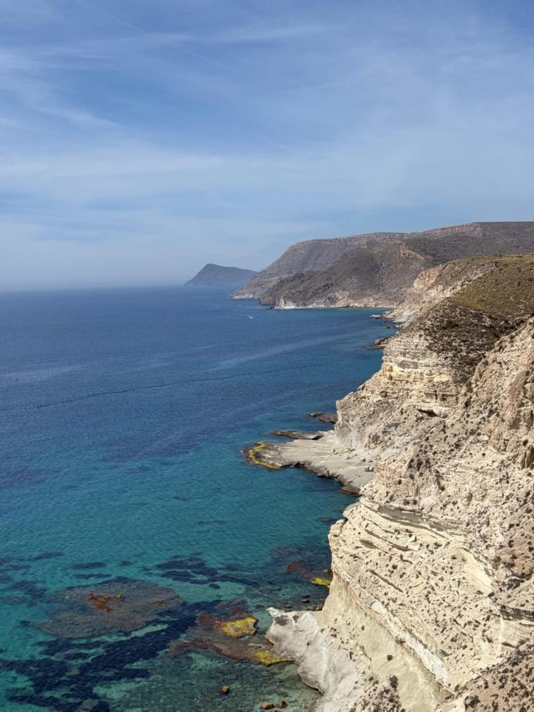 Chica busca chico en Valencia: 