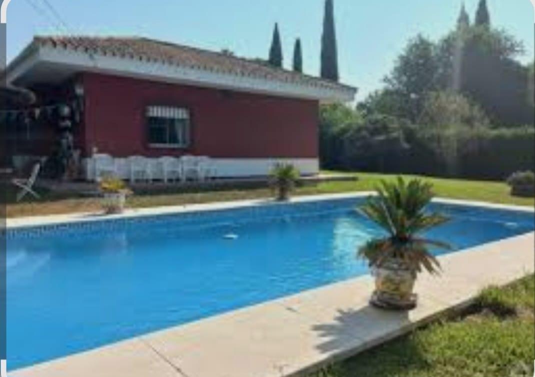 Chica busca chico en Cádiz: 