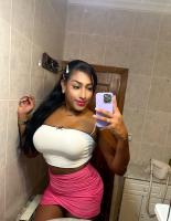 641518137: Travesti en Alicante