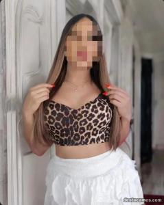 693734734: Transexual en Navarra