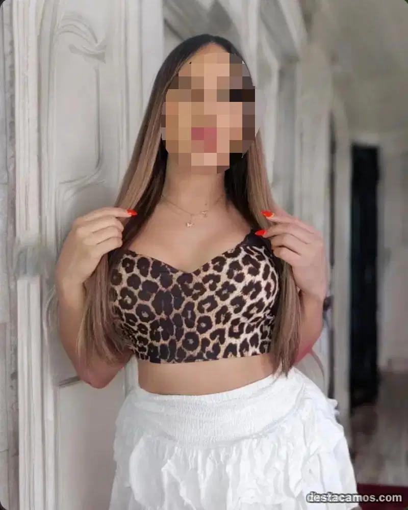 Travesti en Navarra: 