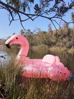 665901426: Chica busca chico en Huelva