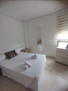 613887835:  en Valencia