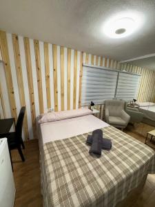 698947098:  en Alicante