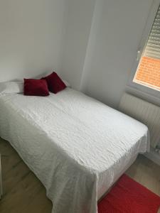 664512930:  en Navarra