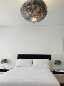 642048229:  en Álava