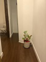 617465170:  en Madrid