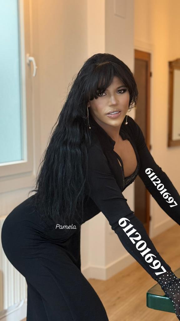 611201697: Transexual en Gerona