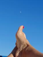 640638476: Virtual en Almería