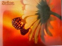 613214363: Chica busca chico en Vizcaya