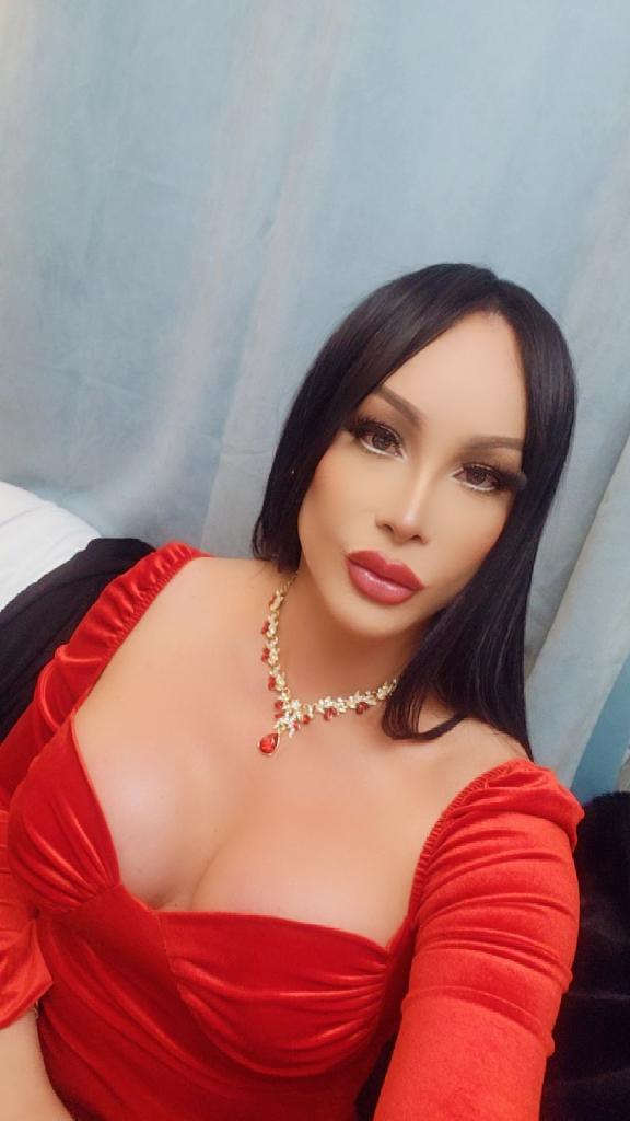 Travesti en Zaragoza: 