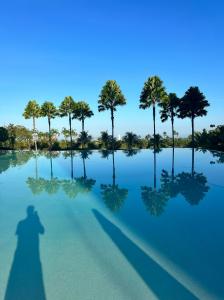 625986804:  en Madrid