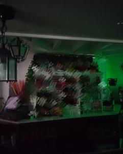 673288359:  en Madrid