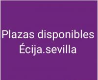 698405386:  en Sevilla