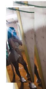 672596681: Transexual en Valencia