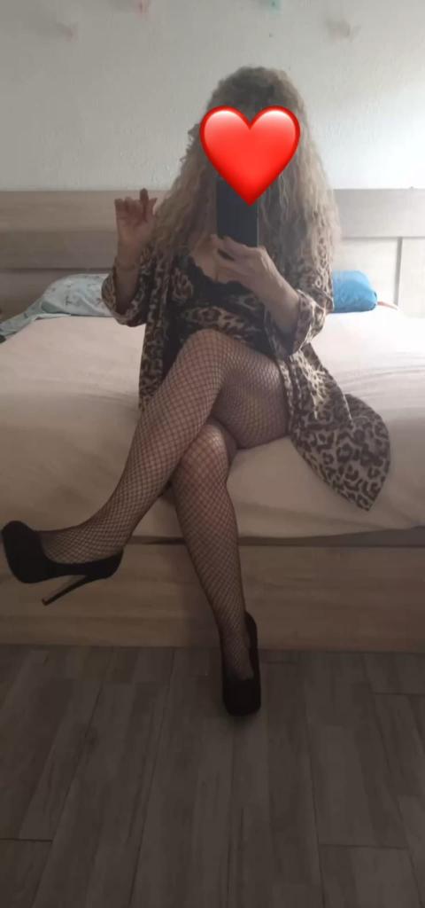 Chica busca chico en Navarra: 