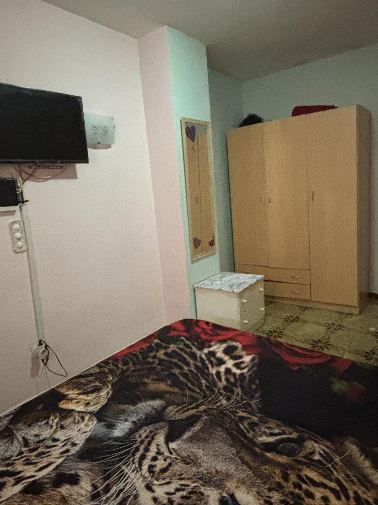 622746841:  en Alicante