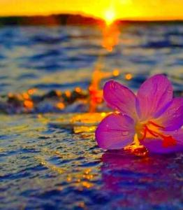 613214363: Chica busca chico en Vizcaya