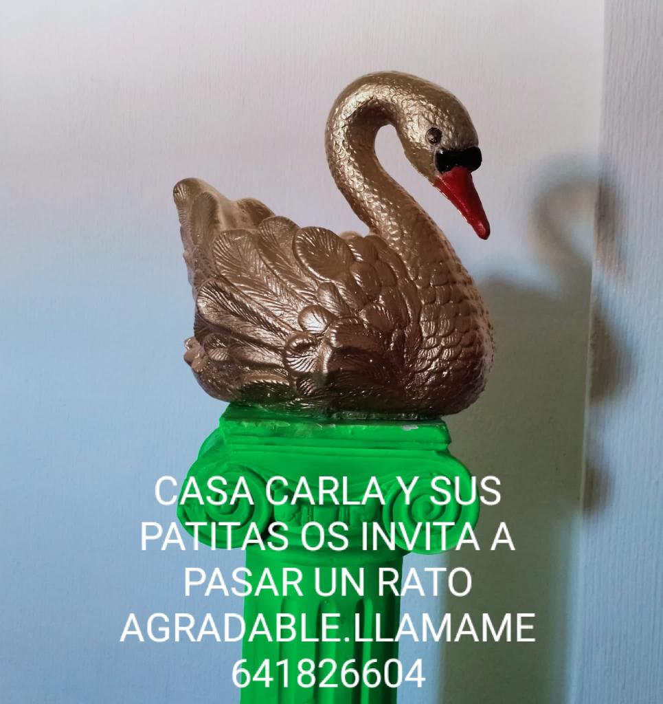 Chica busca chico en Córdoba: 