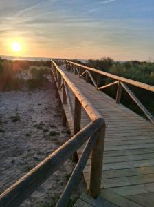 624358453: Chico busca chica en Cádiz