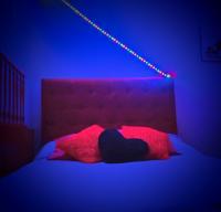 631298982:  en Madrid