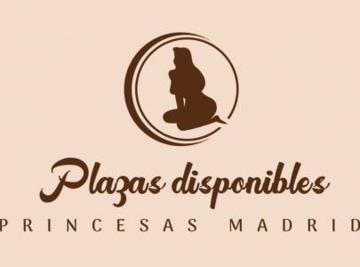 603942365:  en Madrid