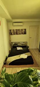 623422919: Chica busca chico en Mallorca