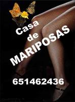 651462436: Chica busca chico en Valladolid