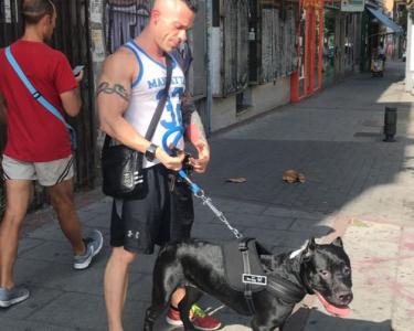 Chico busca chica en Zaragoza: 