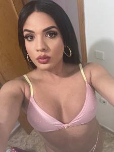 625552126: Transexual en Alicante