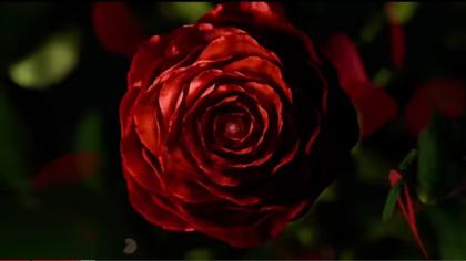 622302111: Chica busca chico en Alicante