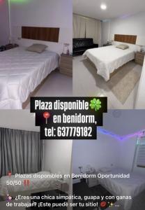 697498558:  en Alicante