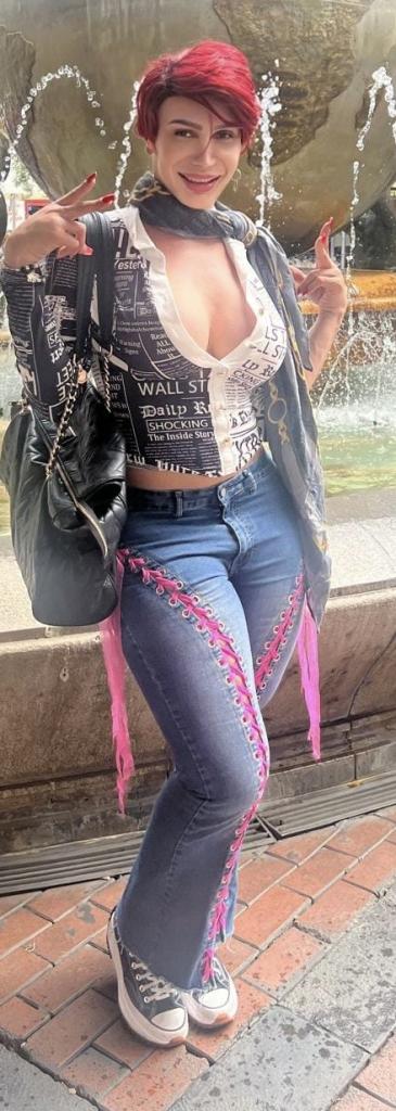 Travesti en Valladolid: 