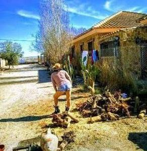 654957869: Virtual en Almería