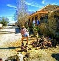 654957869: Virtual en Almería