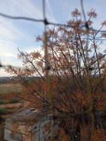 653769185:  en Valencia