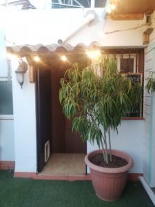 641805822:  en Sevilla