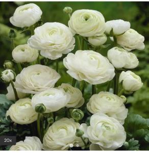 666728997:  en Málaga