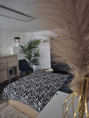 634688464:  en Las Palmas