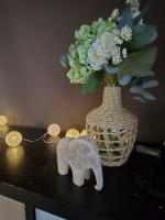 634688464:  en Las Palmas